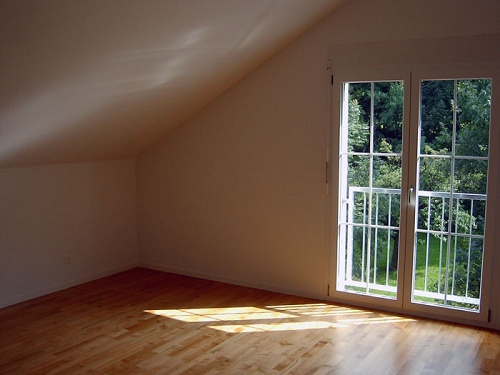 Zimmer DG